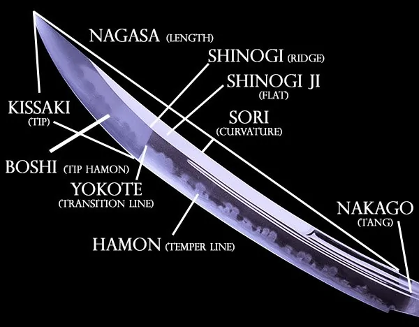 xparts-of-blade.jpg.pagespeed.ic.iEOUNK6gmL.webp