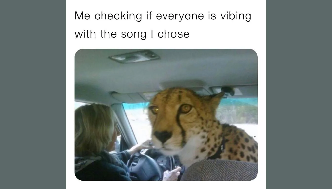 podcast-cover-Cheetah.webp