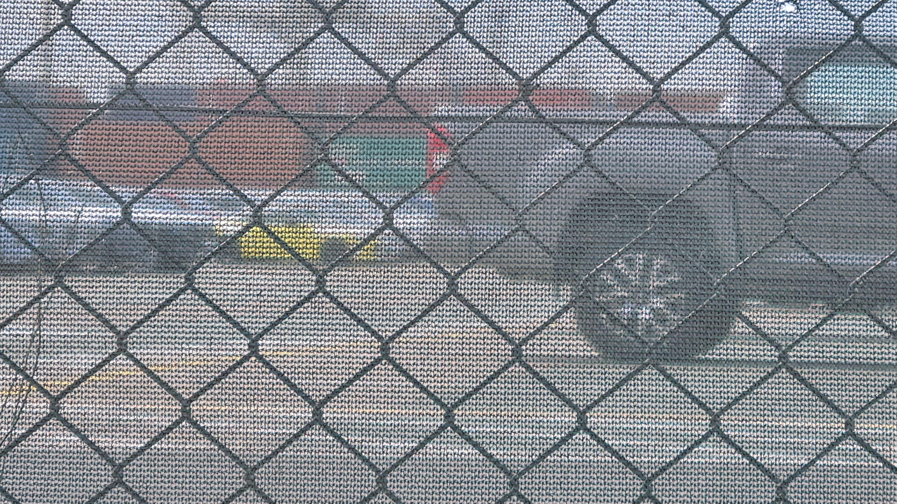 20220917_132131.jpg