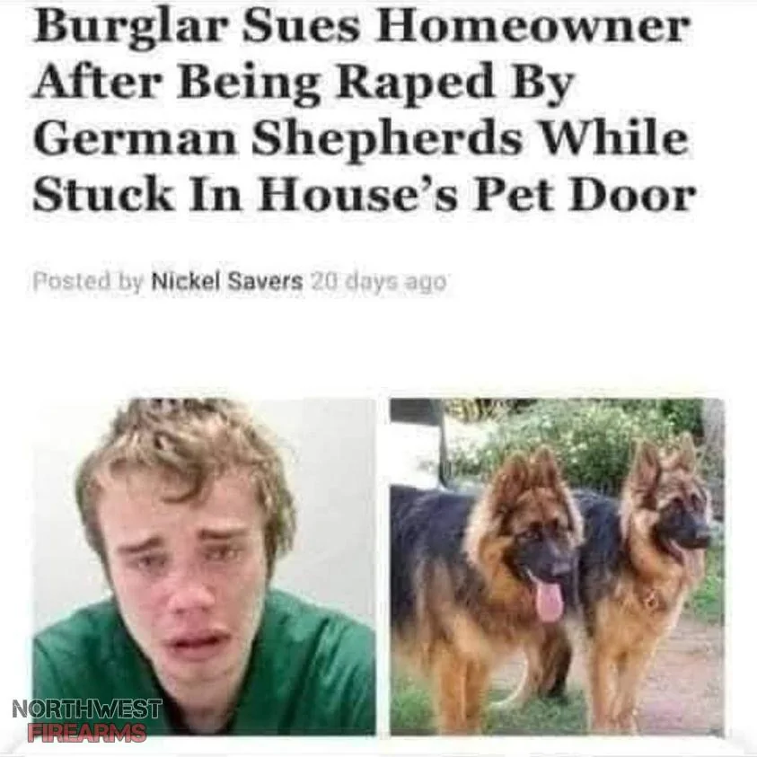 German Sheperds getem.webp