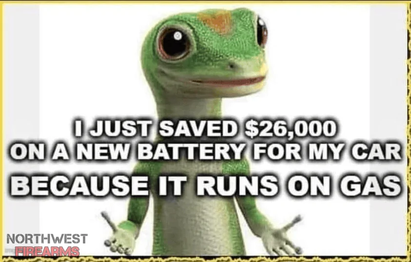 1663811975665.webp