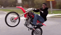 MeatyAncientDromedary-max-1mb.gif