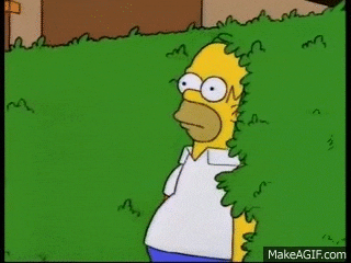 homer-bushes.gif