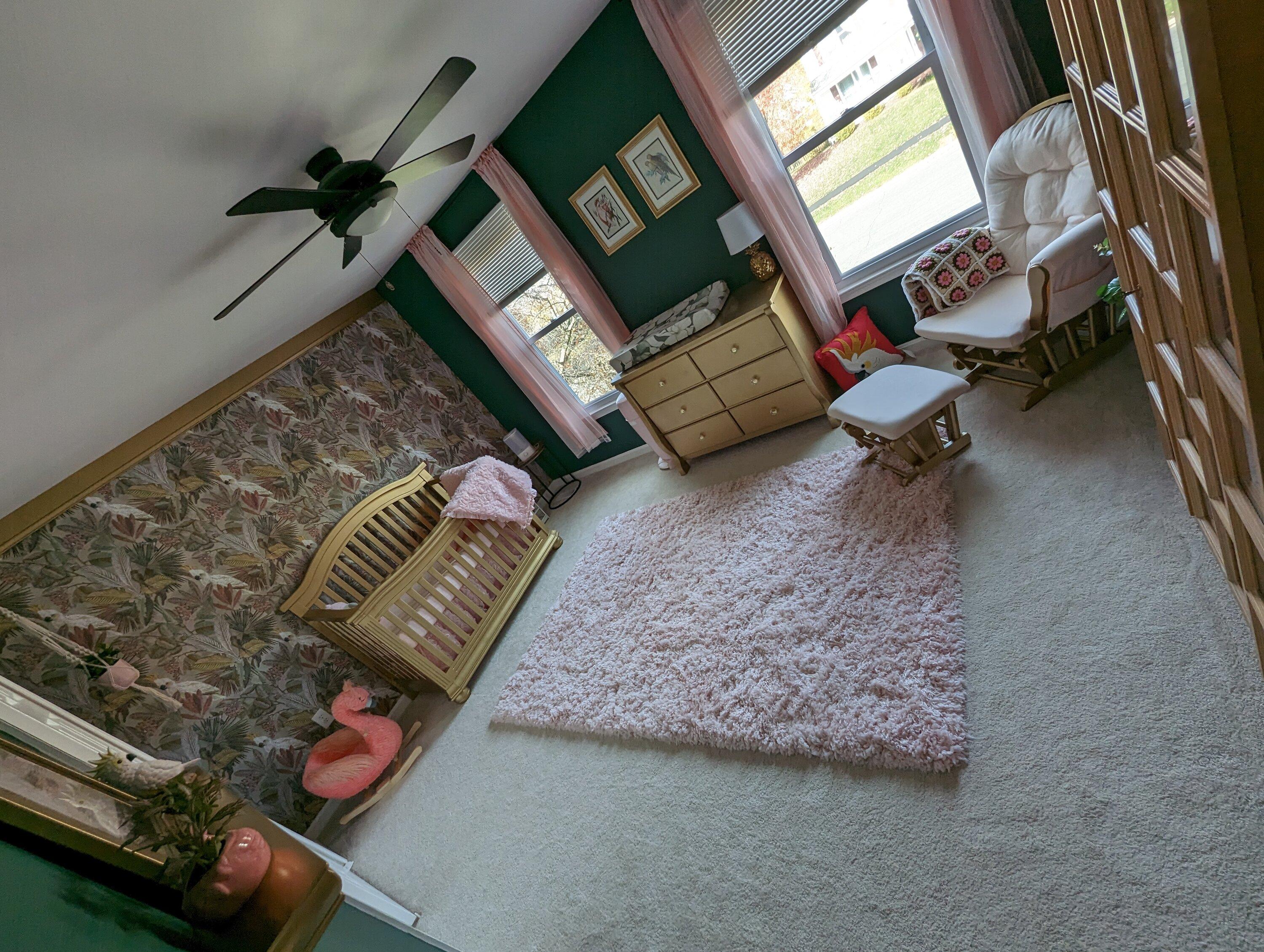 PXL_20221030_182544334.jpg
