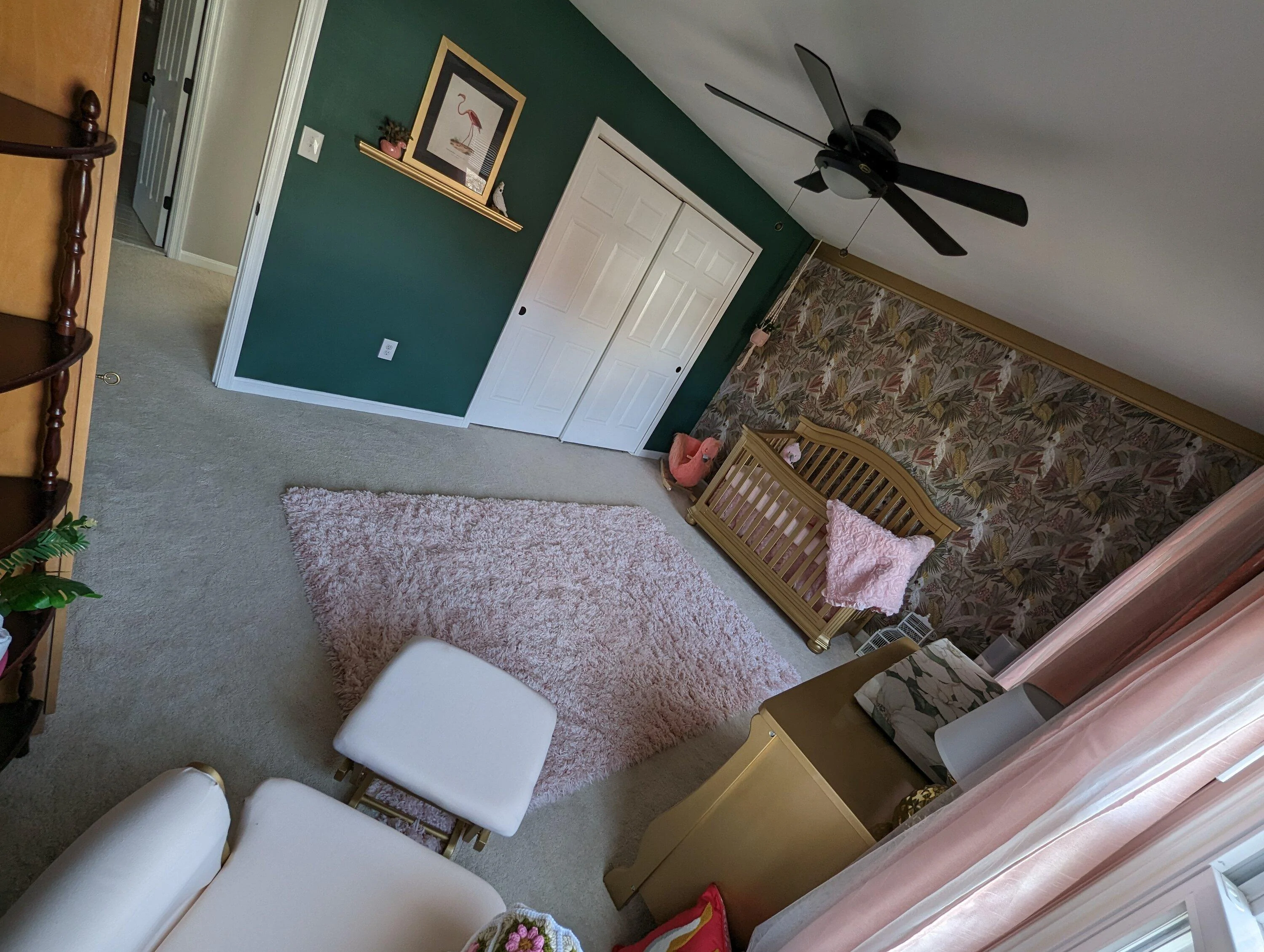 PXL_20221030_182227422.webp