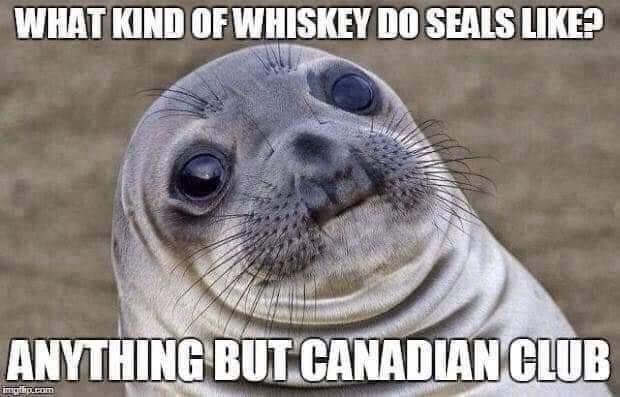 FB_IMG_1669931633986.jpg