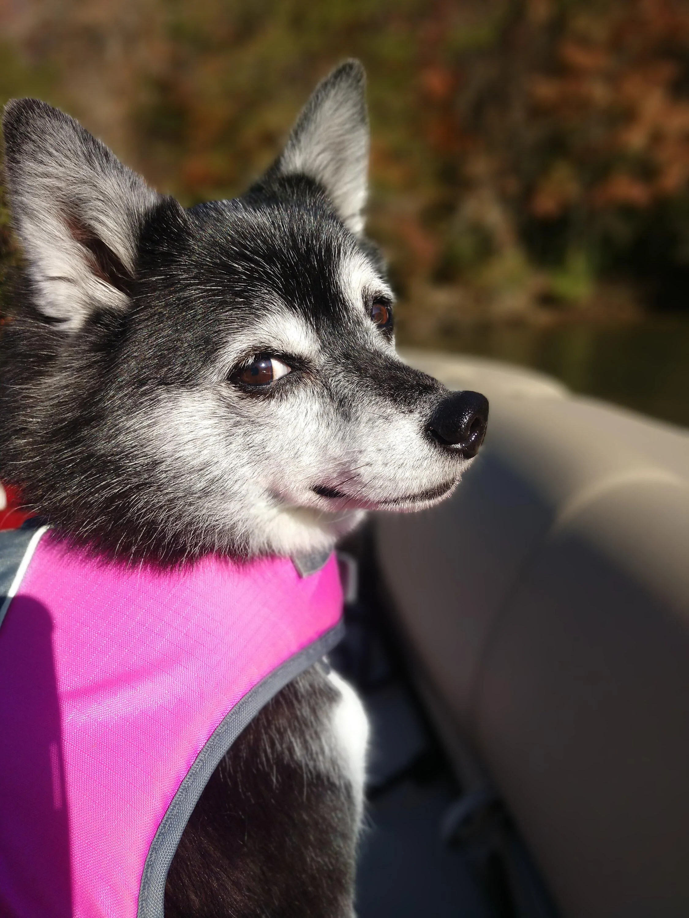 IMG_20201107_212126.webp