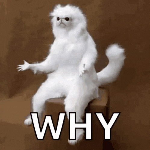 confused-why.gif