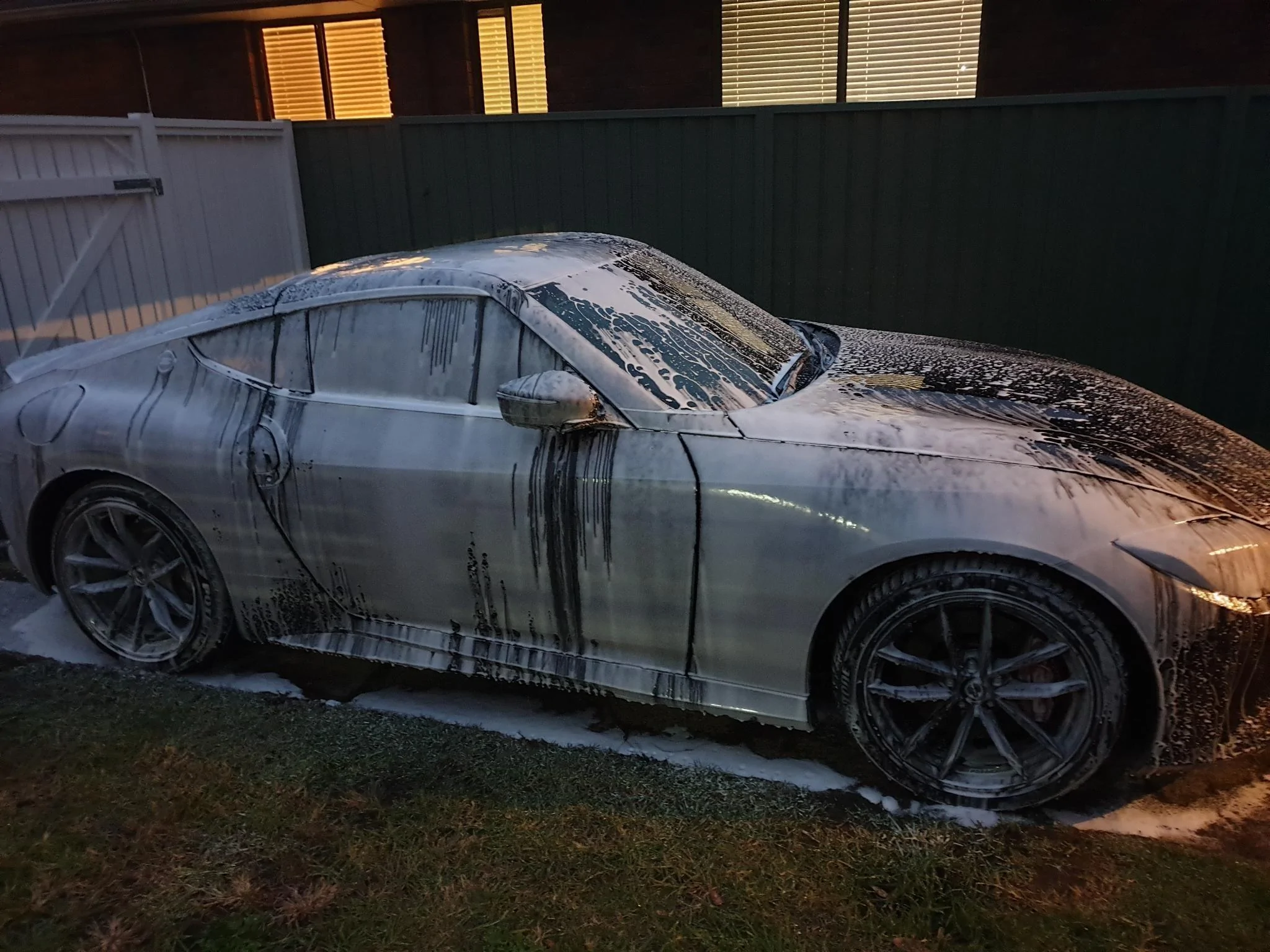 foamy z.webp