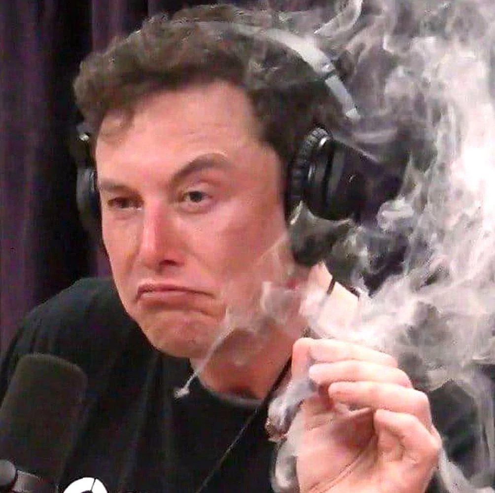 musk.webp