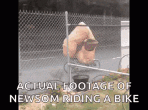 newsom-newscum.gif