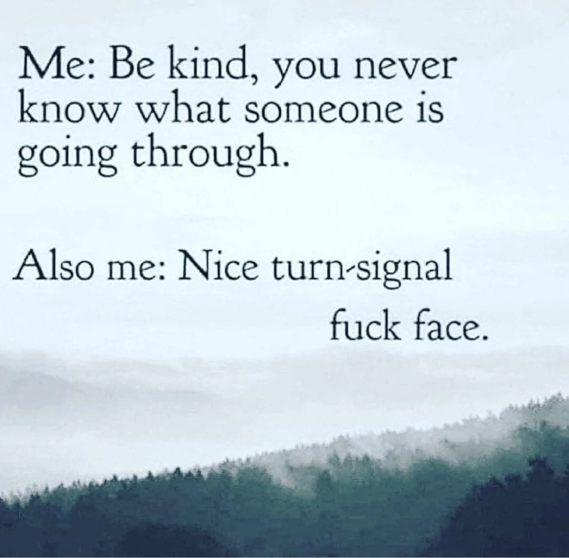 Be kind_turn signal.webp