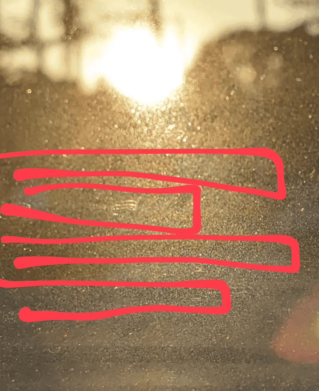 1000018625.webp