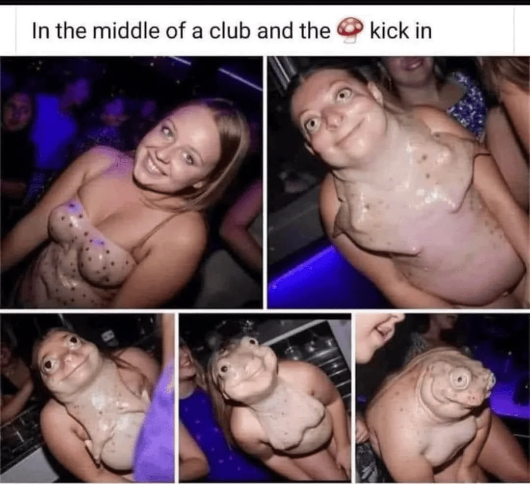 1712115962621-pt.webp