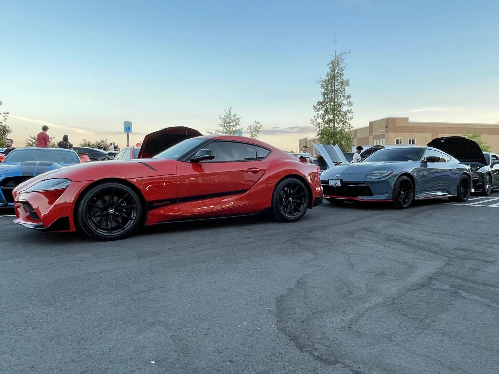IMG_2451.webp