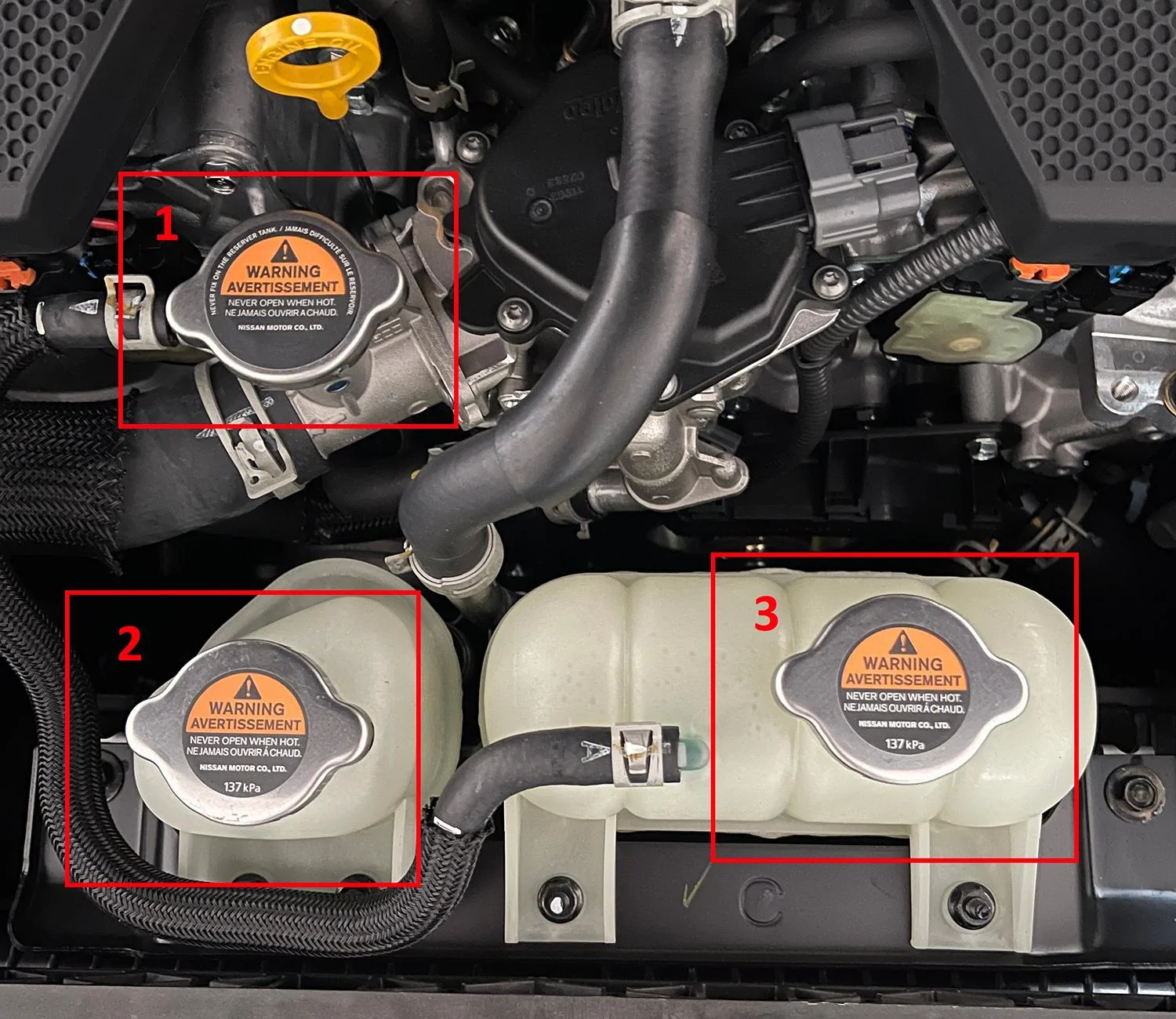 2024 Nissan Z - Radiator Caps | 2023+ Nissan Z Forum