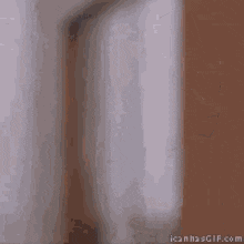 11.gif