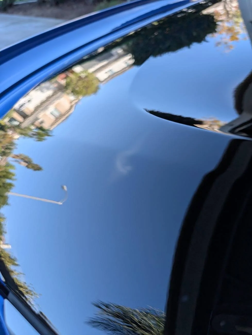 1000028048.jpg