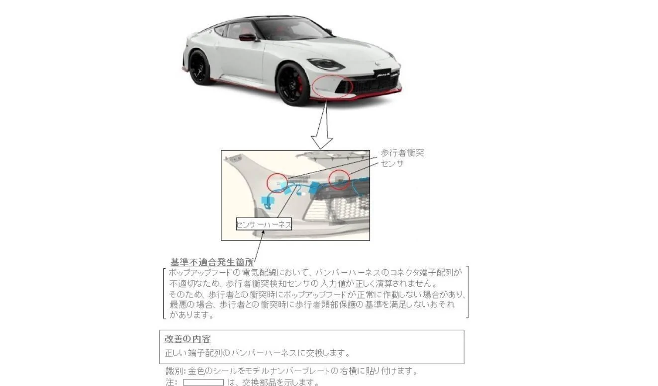 1731617313509-y4.webp