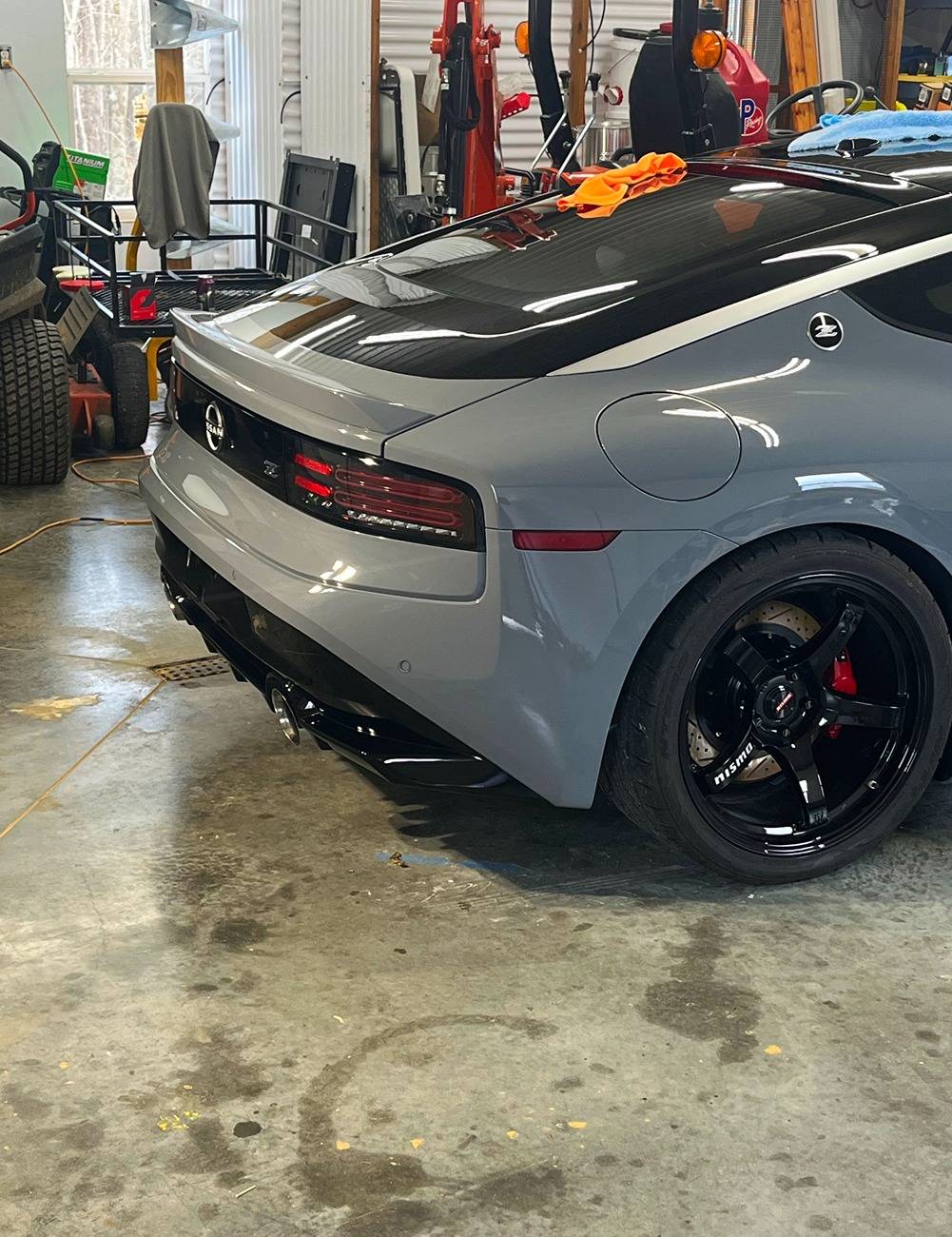 z-tail.jpg