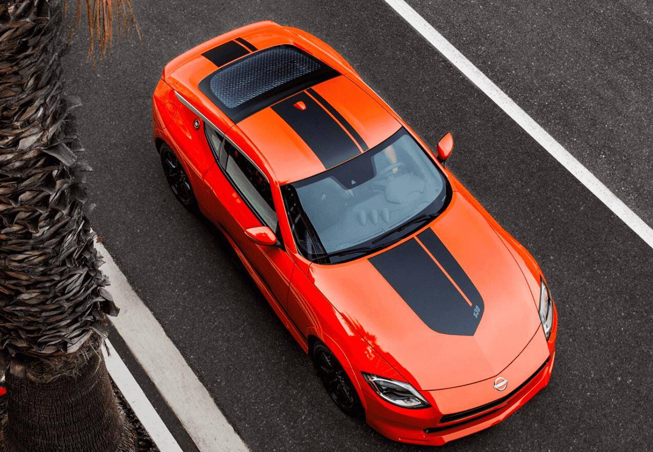 NewSightOrange7.jpg