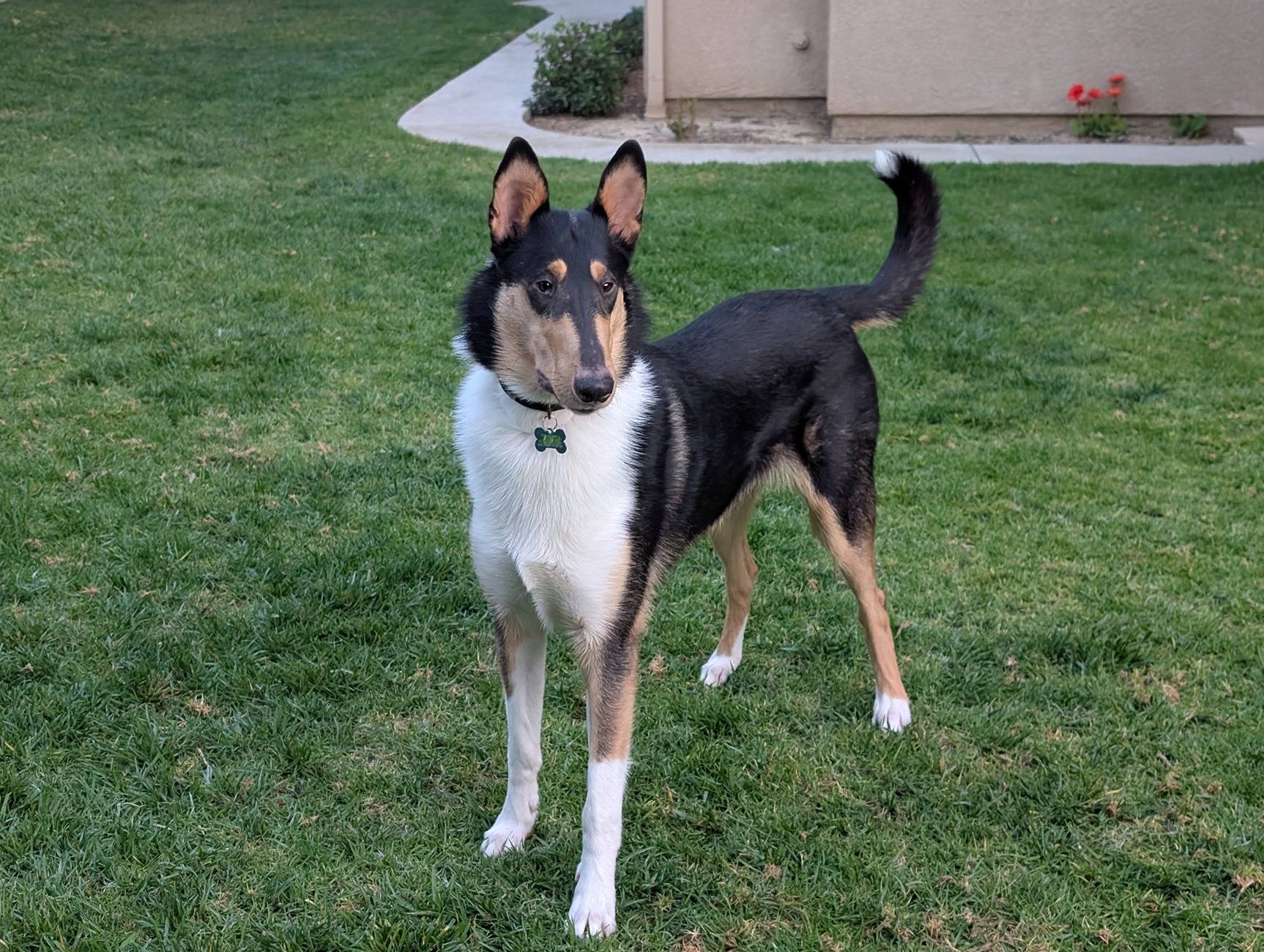 1000037415.jpg
