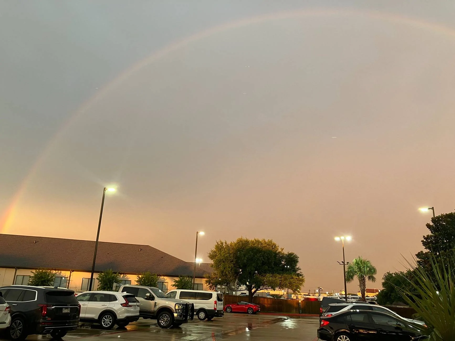 Z Rainbow Arc.webp