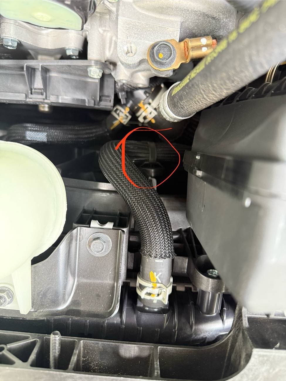 IMG_9144.jpeg