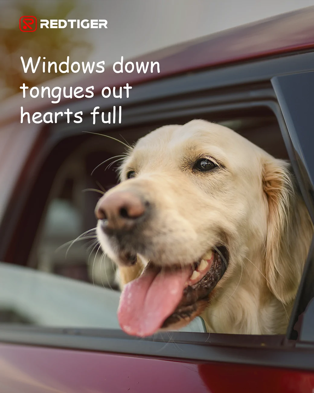 20250806-102236.png
