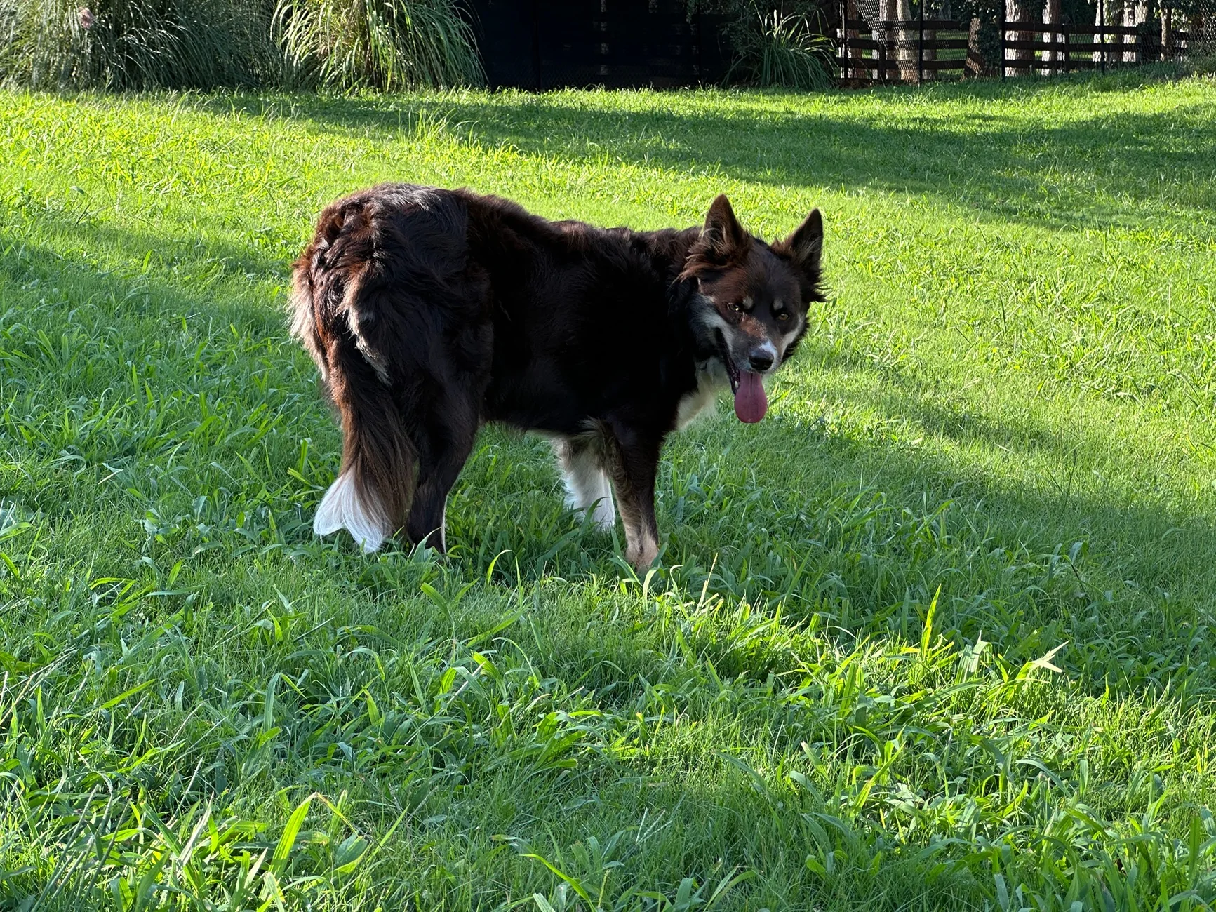 IMG_0398.jpeg