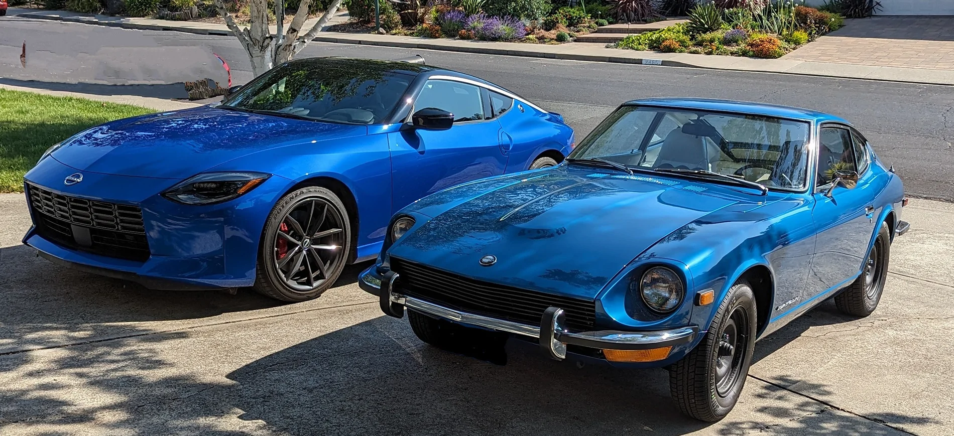 two Zs together.jpg