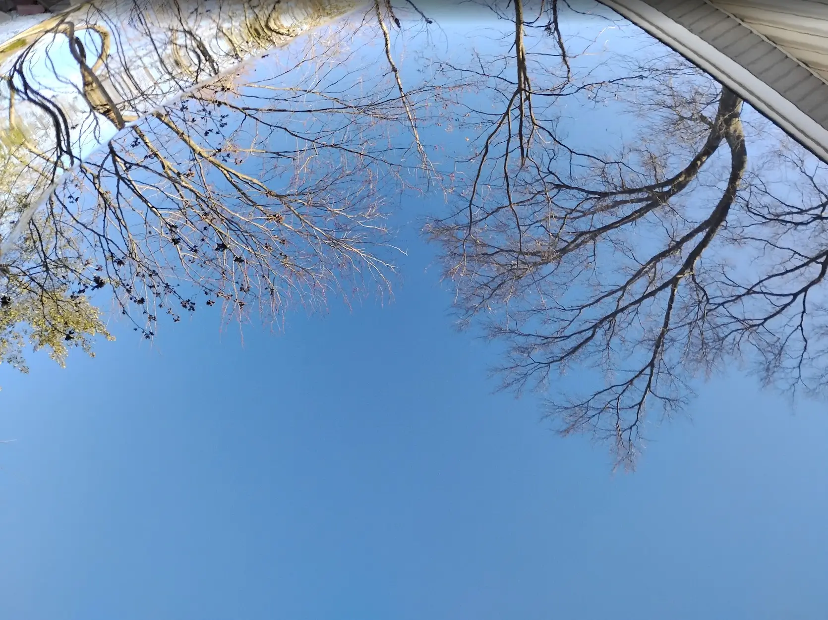Screenshot 2025-06-12 212901.webp
