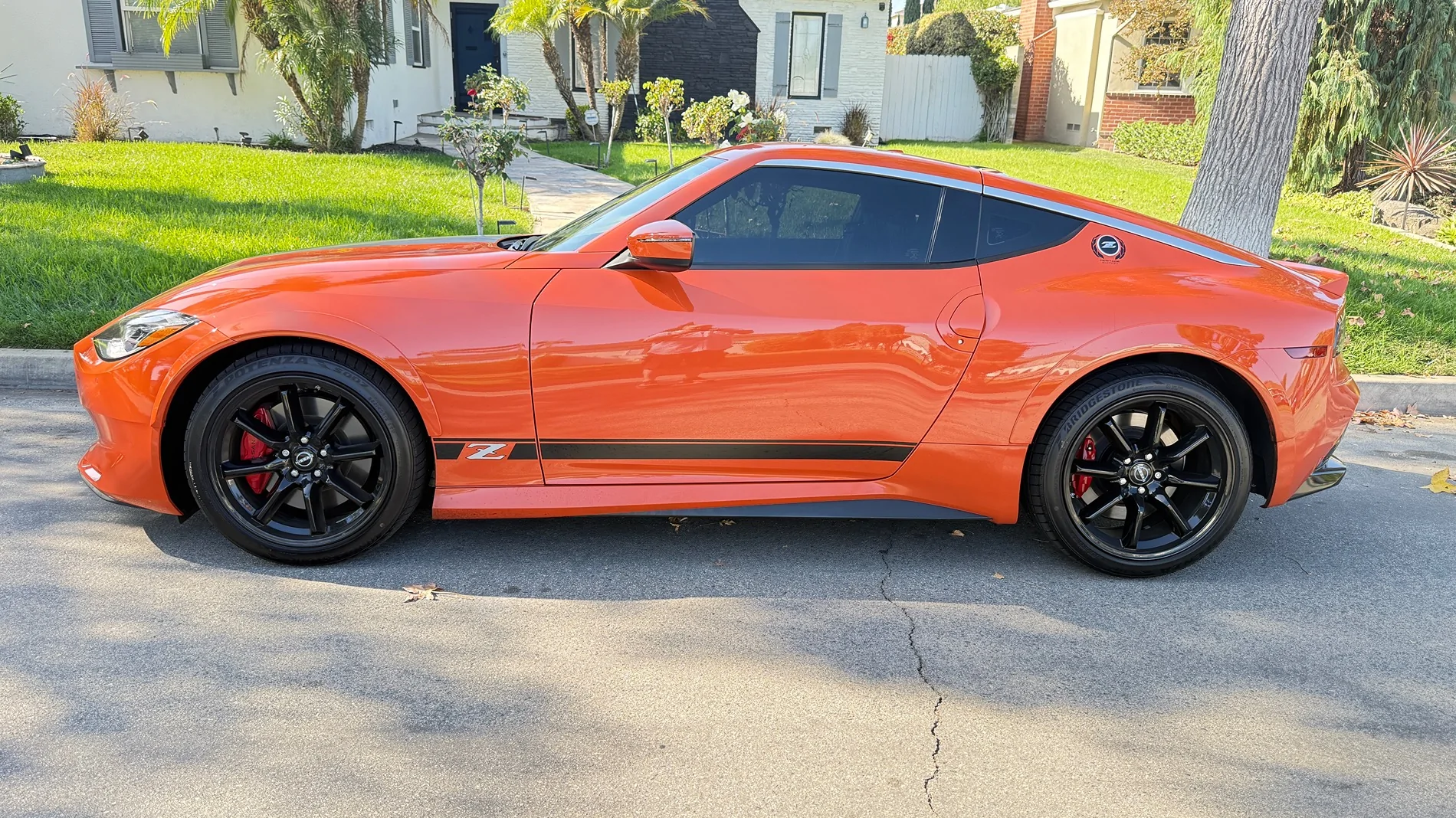 IMG_2833.webp