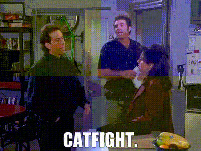 cat-fight-in-a-dialog-vjmfw370nf5g0u9b-2283128593.gif