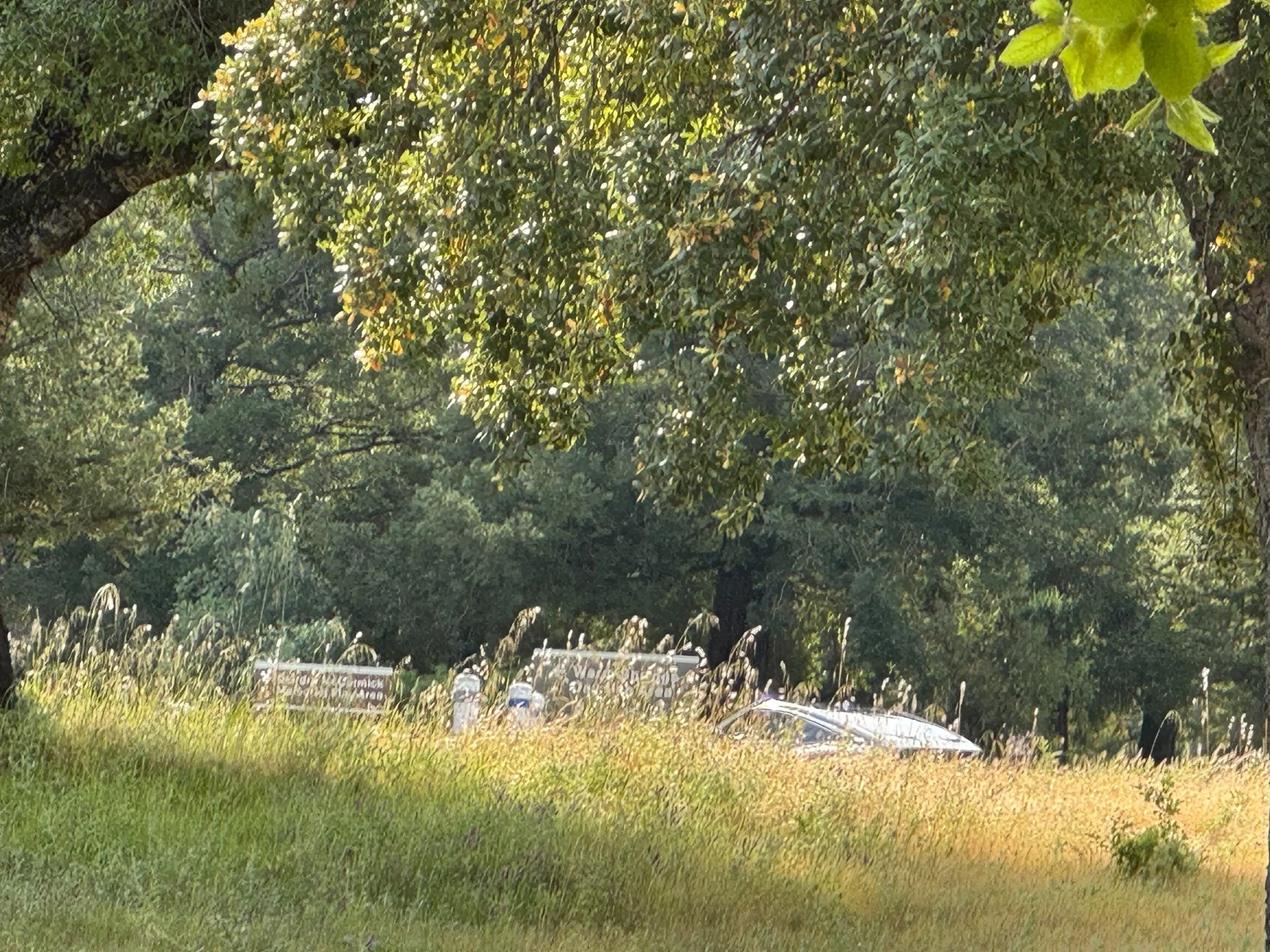 IMG_7189.webp