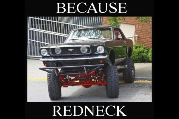 because-redneck-mustang.webp