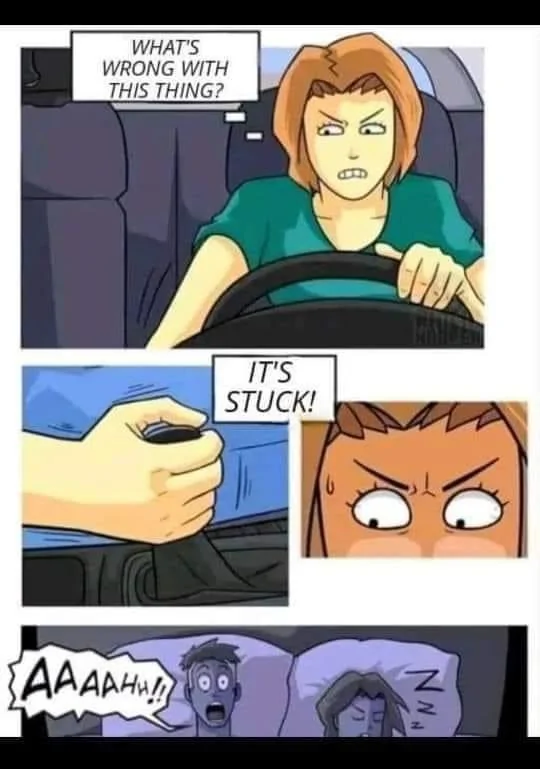 IMG_4320.webp