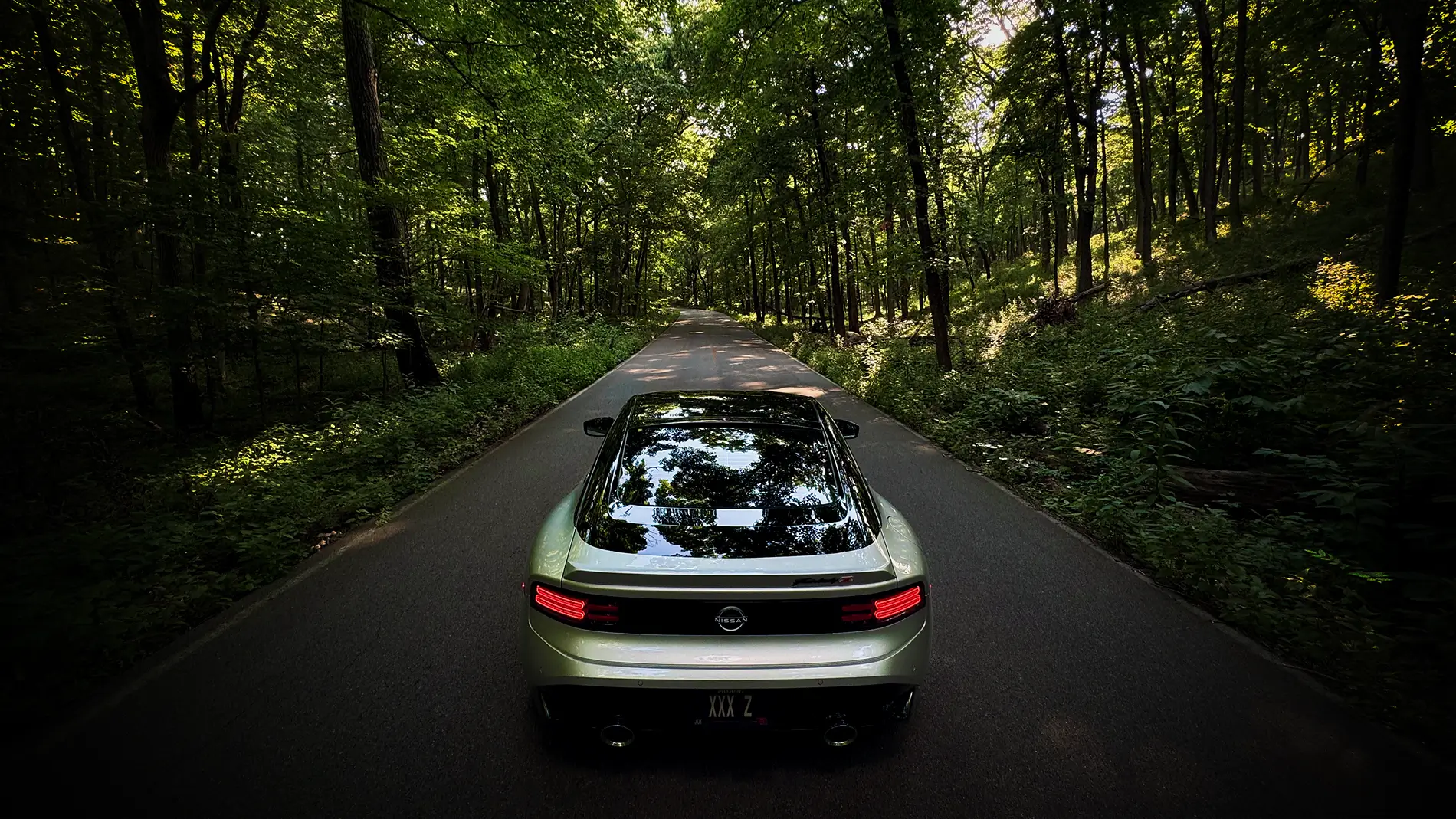 Z plate.webp