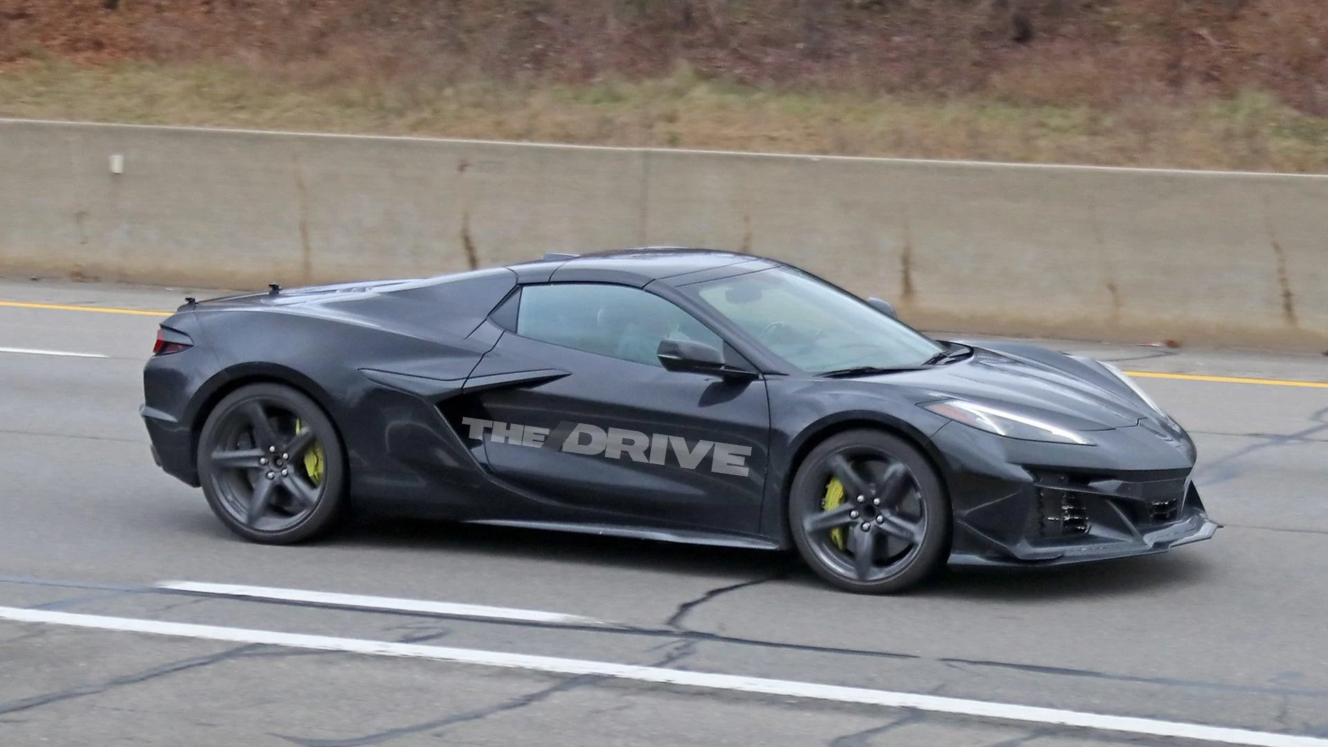 vette-e-ray-lead.webp