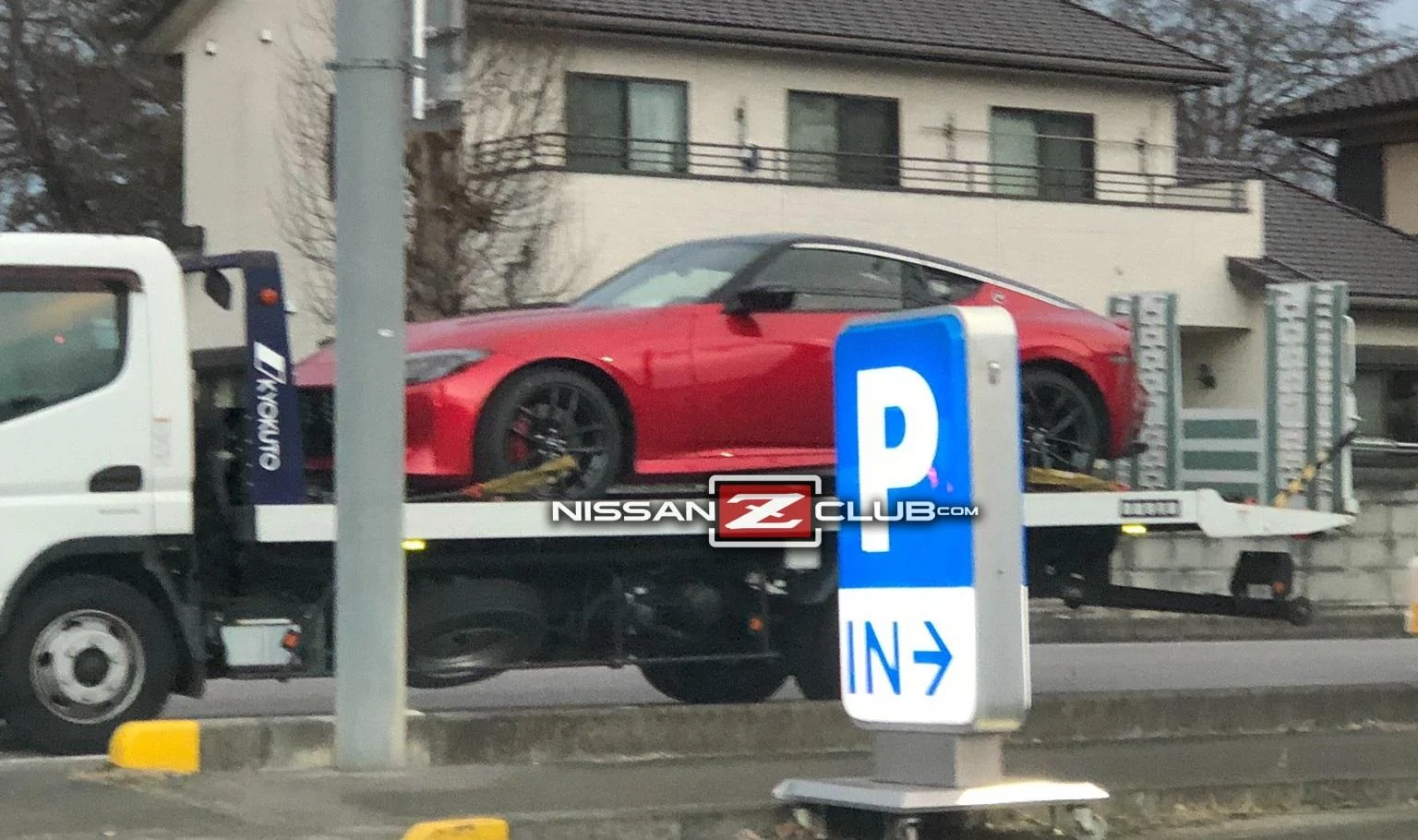 red_Z.webp