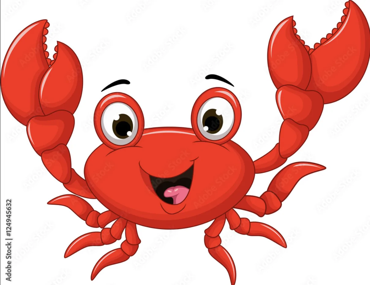 1792286078245-if.webp