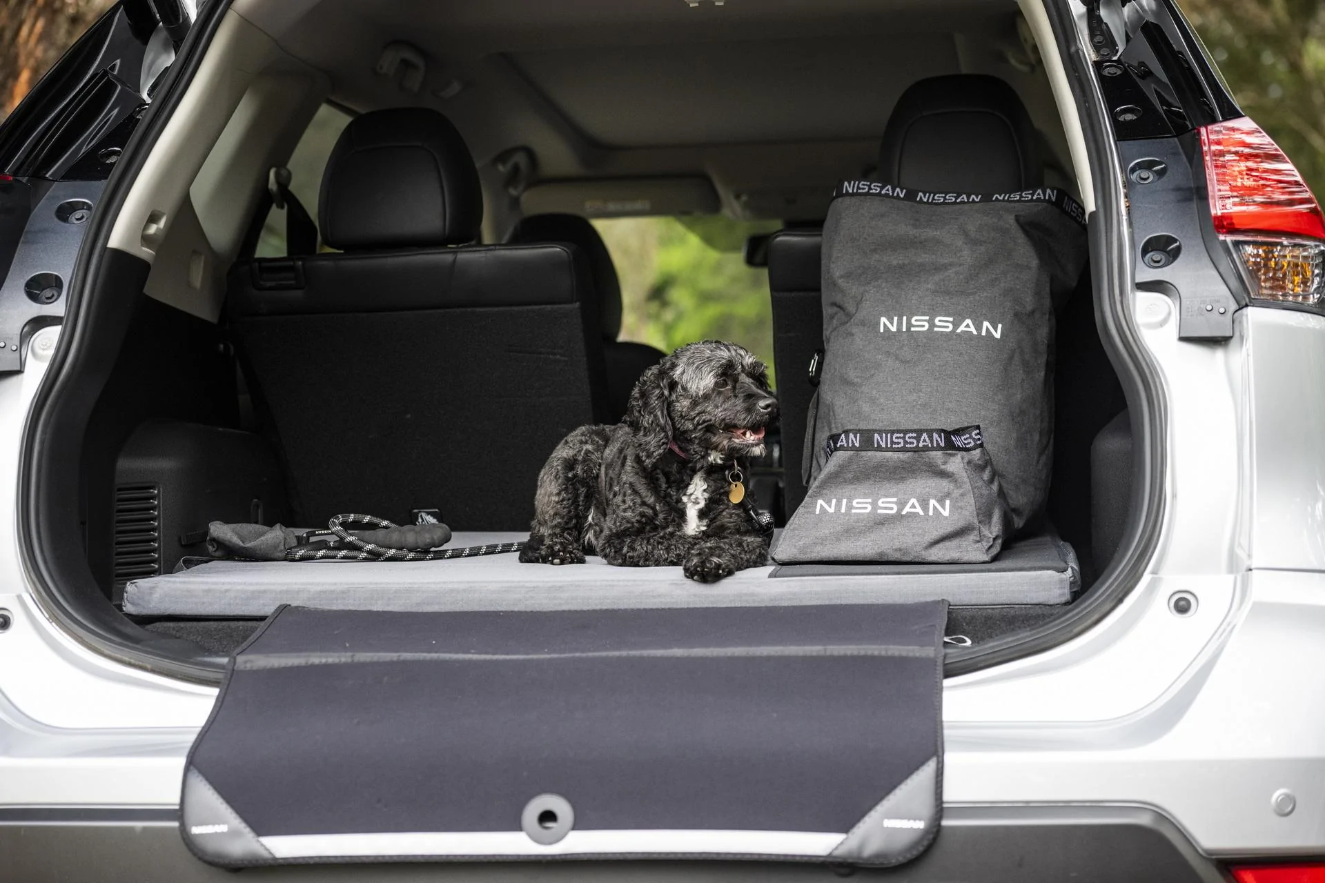 2022-Nissan-Australia-Dog-Pack-14.webp
