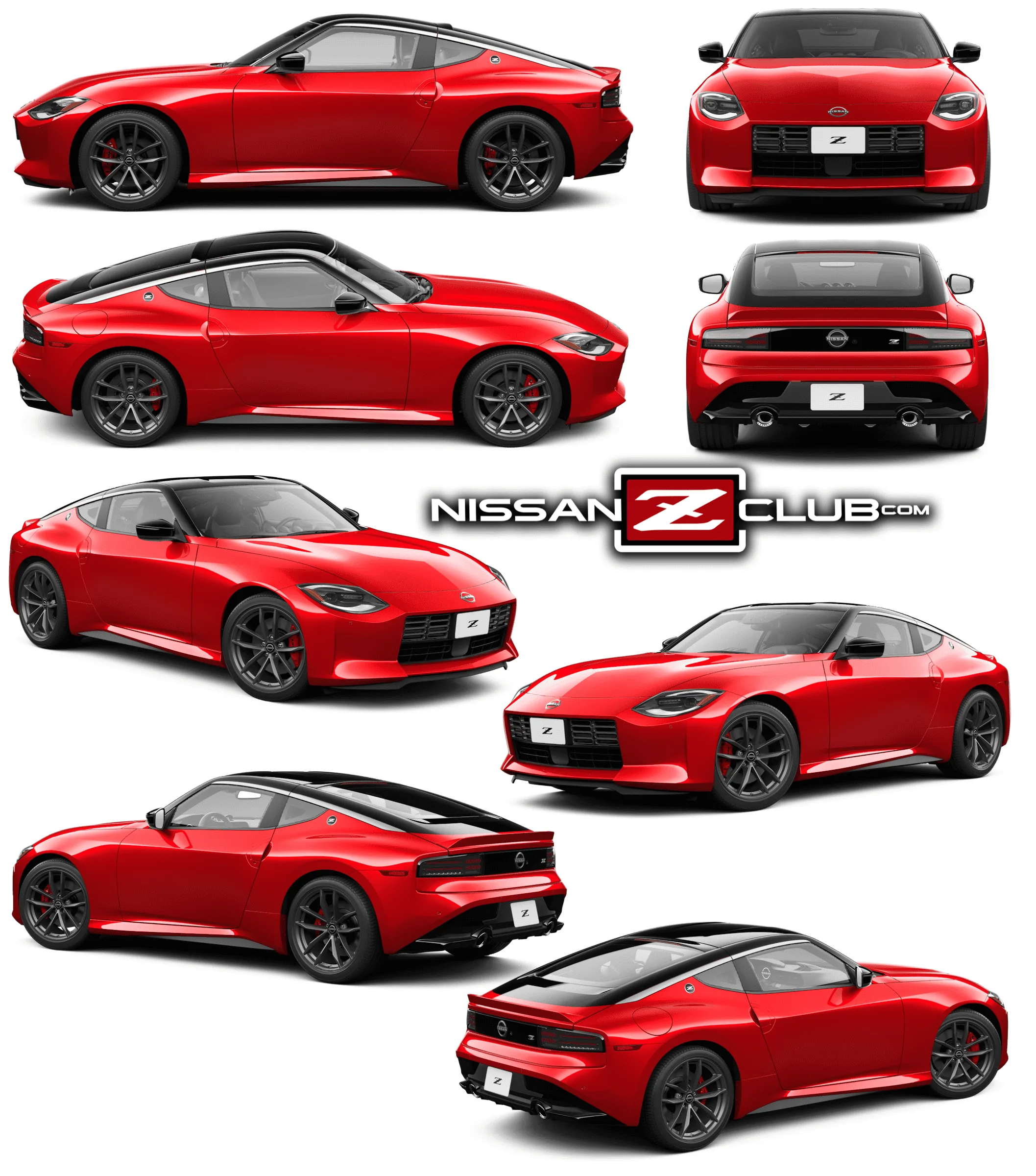 Red_Z (1).webp