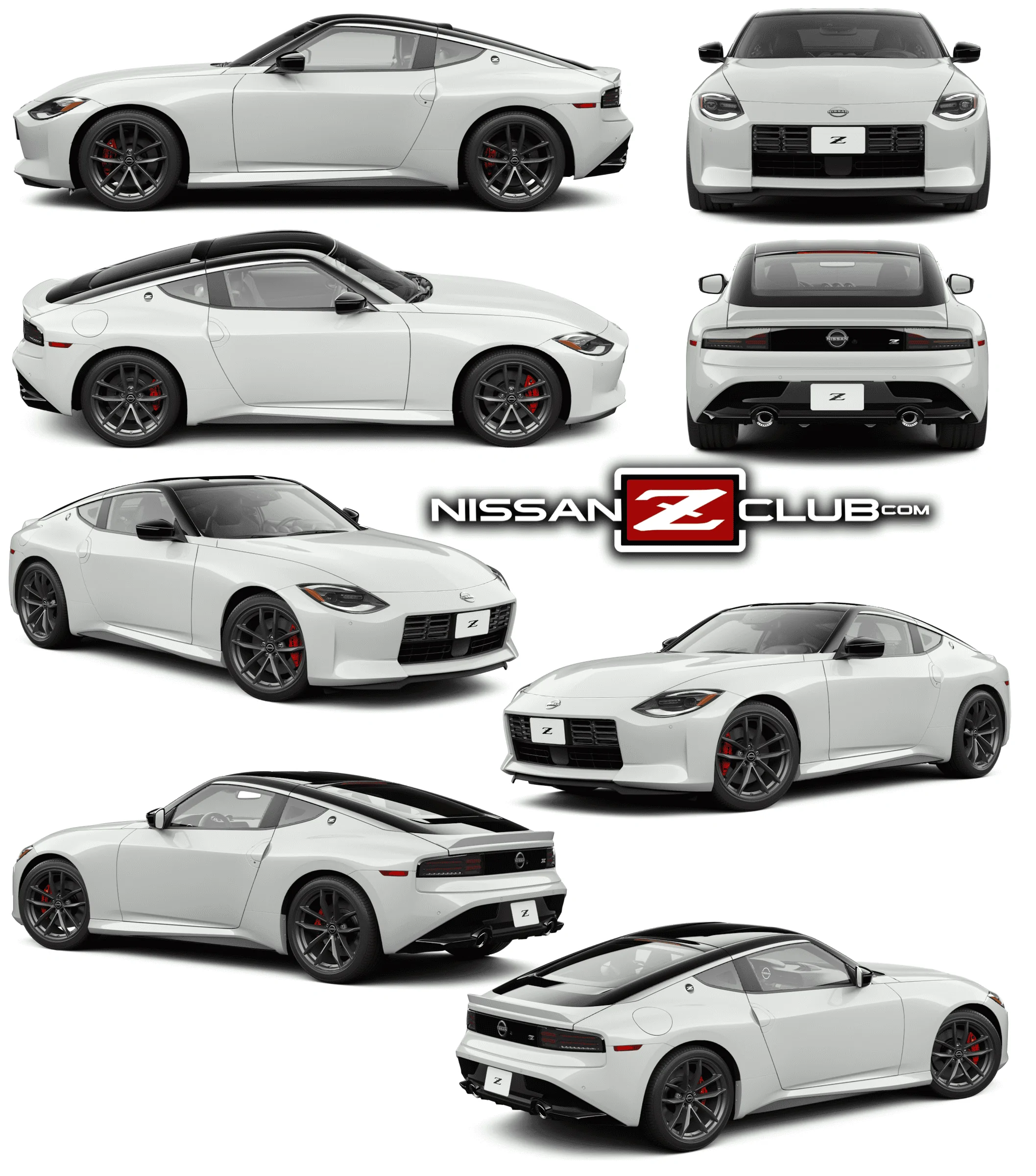 White_Z (1).webp