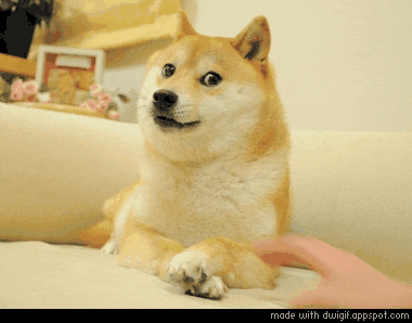 tumblr_mxc9tmhKXt1sp1upro1_400.gif