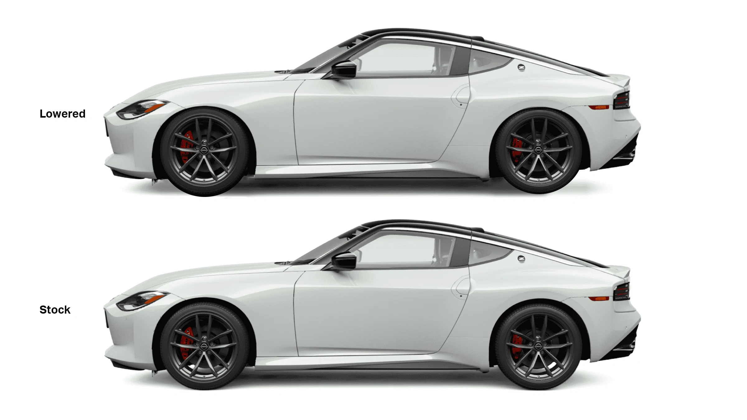 z-lowered-whitebg.png