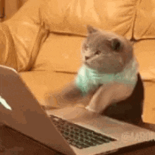typing-laptop.gif