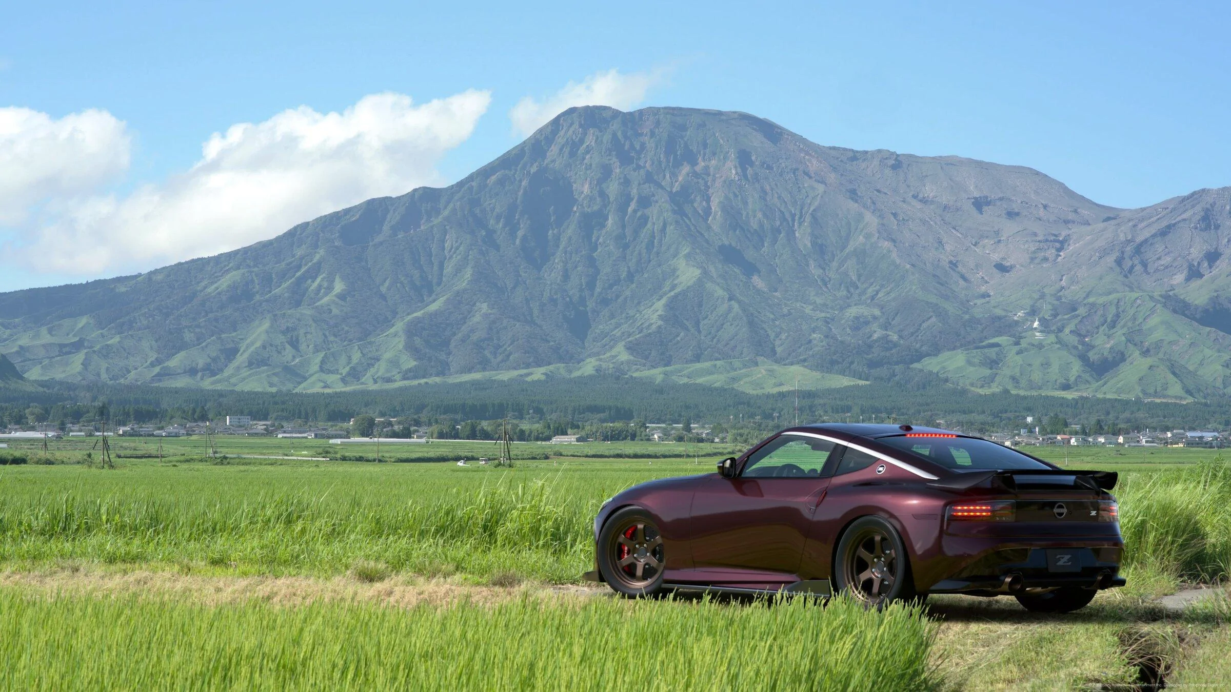 Z23_burgundy_asokuju_2.jpg