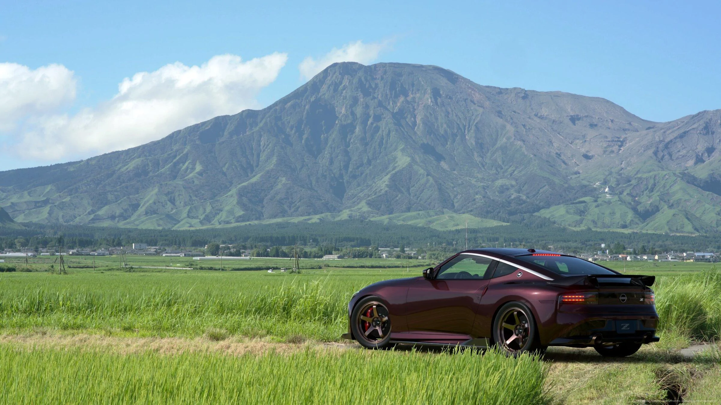 Z23_burgundy_asokuju_3.jpg