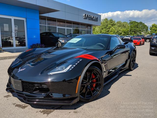 Vette.JPG